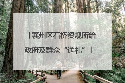 襄州区石桥资规所给政府及群众“送礼”